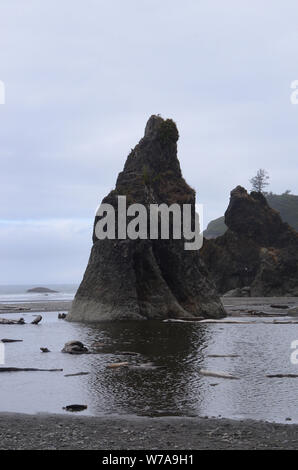 Niveaux de gris : Gris overtones consommer Ruby beach dans l'état de Washington. Banque D'Images