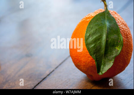 Citron Meyer frais du Paraguay avec un congé vert sur une table en bois brun Banque D'Images