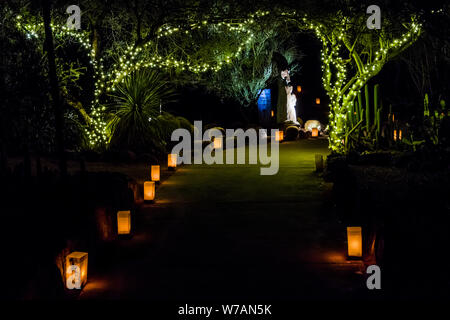 Jardin botanique du désert et les arbres illuminés Luminarias Banque D'Images