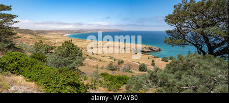 Torry Pines randonnée pédestre, près de ranch à Bechers Bay Pier sur une journée de printemps ensoleillée, l'île de Santa Rosa, Channel Islands National Park, Ventura, Californie, USA Banque D'Images