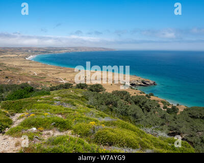 Torry Pines randonnée pédestre, près de ranch à Bechers Bay Pier sur une journée de printemps ensoleillée, l'île de Santa Rosa, Channel Islands National Park, Ventura, Californie, USA Banque D'Images