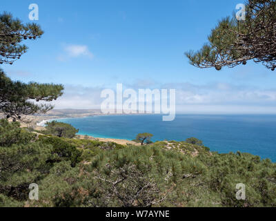 Torry Pines randonnée pédestre, près de ranch à Bechers Bay Pier sur une journée de printemps ensoleillée, l'île de Santa Rosa, Channel Islands National Park, Ventura, Californie, USA Banque D'Images