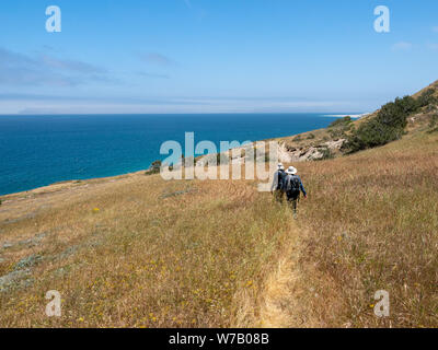 Torry Pines randonnée pédestre, près de ranch à Bechers Bay Pier sur une journée de printemps ensoleillée, l'île de Santa Rosa, Channel Islands National Park, Ventura, Californie, USA Banque D'Images