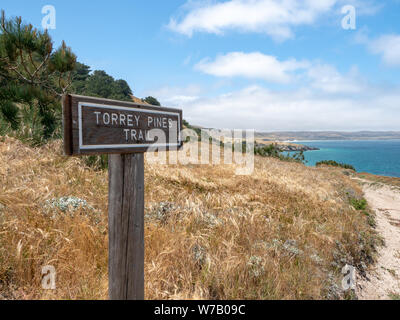 Torry Pines randonnée pédestre, près de ranch à Bechers Bay Pier sur une journée de printemps ensoleillée, l'île de Santa Rosa, Channel Islands National Park, Ventura, Californie, USA Banque D'Images