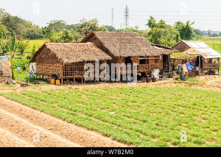 Yangon, Myanmar-May 5e 2014 : paysage agricole typique à la périphérie de la ville. Beaucoup de gens vivent de la terre. Banque D'Images