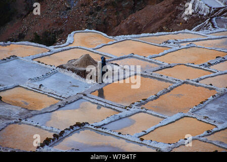 Coucher de réflexions sur les salines de Maras, Vallée Sacrée, Pérou Banque D'Images