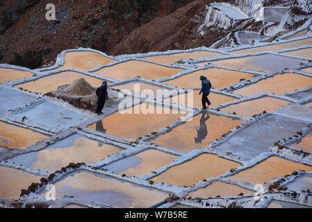 Coucher de réflexions sur les salines de Maras, Vallée Sacrée, Pérou Banque D'Images