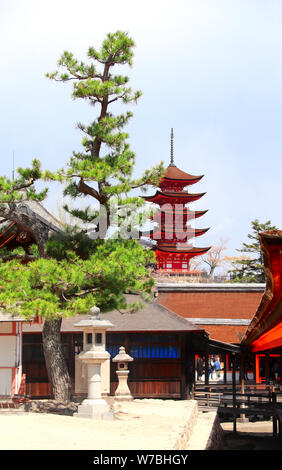 Lanternes en pierre dans la cour du temple et Goju-no-to (pagode pagode Gojunoto, pagode de cinq étages) d'Itsukushima, sacrée l'île de Miyajima, Japon Banque D'Images
