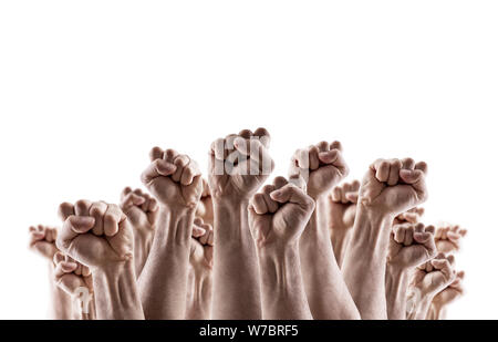 Grand groupe de mains levées montrant fists isolé sur fond blanc Banque D'Images