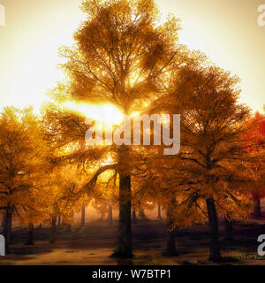 Beau feuillage hêtre le rendu 3D de la route Banque D'Images