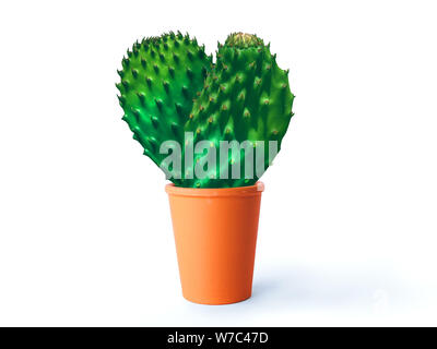 Cactus poire en forme de coeur dans un pot. Banque D'Images