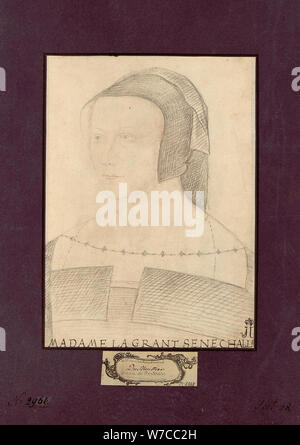 Portrait de Diane de Poitiers (1499-1566). Banque D'Images