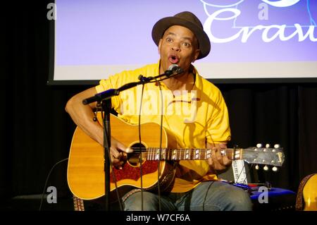 Guy Davis, Hawth, Crawley, West Sussex, le 14 novembre 2016. Artiste : Brian O'Connor. Banque D'Images