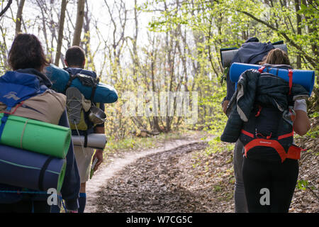 Marcher dans la forêt entouré de hêtres sur les Dieux chemin entre Bologne et Florece en Italie. Banque D'Images