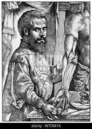 Andreas Vesalius, 16e siècle, anatomiste flamand 1954. Artiste : Inconnu Banque D'Images