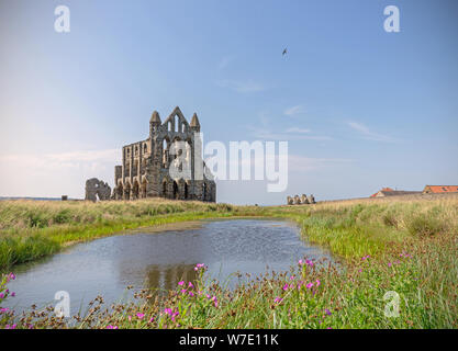 Whitby Abbey vue à travers les hautes herbes et fleurs sauvages. Un petit lac est au premier plan et l'abbaye est définie sur un ciel bleu. Banque D'Images