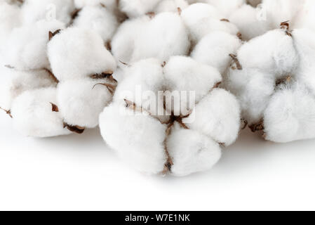 Close up of capsules de coton sur fond blanc Banque D'Images