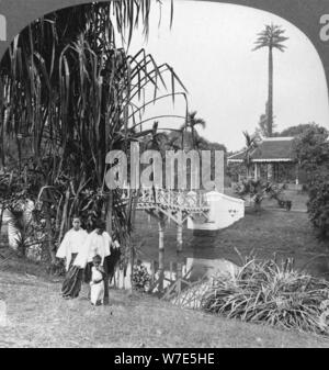 Un mot dans les jardins tropicaux de Rangoon, en Birmanie, en 1908. Artiste : Stéréo de Voyage Banque D'Images