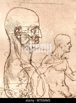 Dessin illustrant la théorie des proportions de la figure humaine, c1472-c1519 (1883). Artiste : Leonardo da Vinci. Banque D'Images