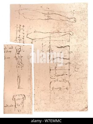 Deux dessins illustrant la théorie des proportions de la figure humaine, c1472-c1519 (1883). Artiste : Leonardo da Vinci. Banque D'Images