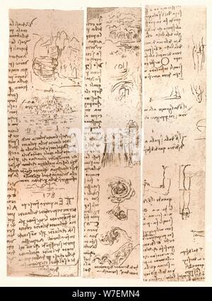 Trois dessins, c1472-c1519 (1883). Artiste : Leonardo da Vinci. Banque D'Images