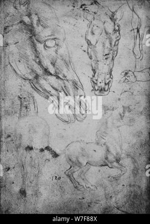 "Etudes de chevaux et de têtes de chevaux', c1480 (1945). Artiste : Leonardo da Vinci. Banque D'Images