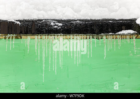 Beaucoup de glaçons congelés dans le contexte d'une muraille verte météo glaciale. Banque D'Images