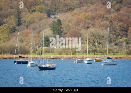 Voiliers sur Windermere, Lake District, Cumbria, Royaume-Uni Banque D'Images
