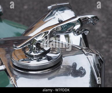 Bergame, Italie : 18 Octobre 2015 : Chrome logo Jaguar sur le capot de la voiture Jaguar XJS dans une exposition de voiture. Statuette de jaguar dans un jum Banque D'Images
