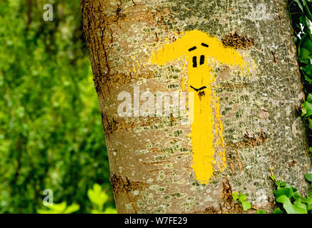 Flèche jaune traditionnel peint sur le chemin. Direction des pèlerins à Saint James way, Camino de Santiago de Compostela, Espagne Banque D'Images