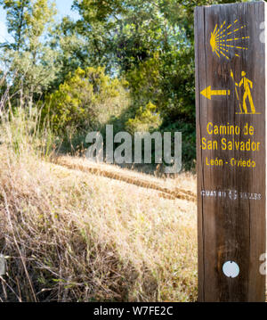 Flèche jaune traditionnel peint sur le chemin. Direction des pèlerins à Saint James way, Camino de Santiago de Compostela, Camino de San Salvador, Banque D'Images