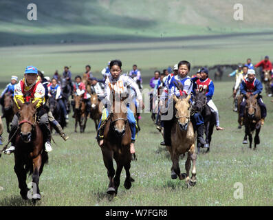 Une course de chevaux pendant la festival Naadam en Mongolie Banque D'Images