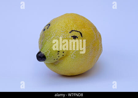 Tête de citron faites par Bernd Stein, Hambourg, Allemagne Banque D'Images