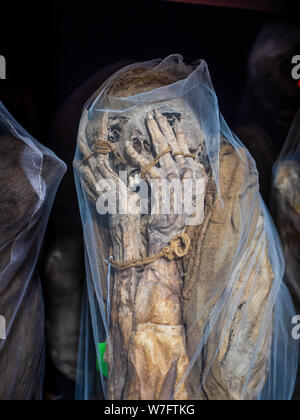 Les célèbres momies qui ont été trouvés à tombes près de Laguna de los Condores (lac des Condors) et peut maintenant être vu à Leymebamba museum. Banque D'Images