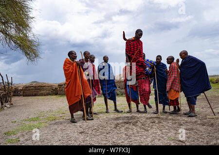 Saut Masai traditionnelle à une danse Masai Village, la Tanzanie, l'Afrique de l'Est Banque D'Images