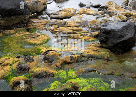 Côte atlantique à l'île de Eysturoy Funningur, îles Féroé, Banque D'Images
