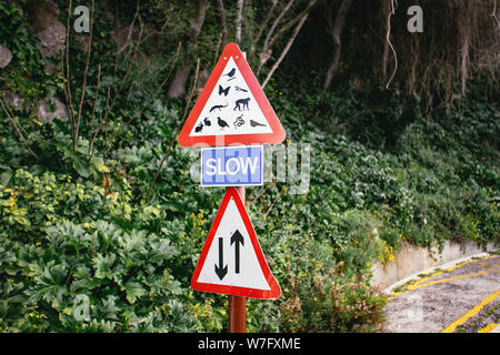 La signalisation routière rouge ci-dessus et ci-dessous signe lent bleu Banque D'Images