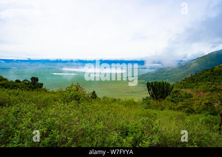 Zone de conservation de Ngorongoro, en Tanzanie. Vue du cratère Banque D'Images