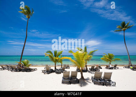 Plage tropicale en mer des Sargasses, Punta Cana, République Dominicaine Banque D'Images