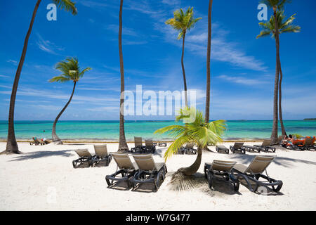 Plage tropicale en mer des Sargasses, Punta Cana, République Dominicaine Banque D'Images