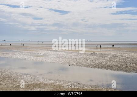 L'assécher en face de la mer des Wadden du sud de Wyk plage à marée basse avec les bâtiments de la petite île Hallig Langeneß sur l'horizon, 30 juillet 2018 | Le monde d'utilisation Banque D'Images