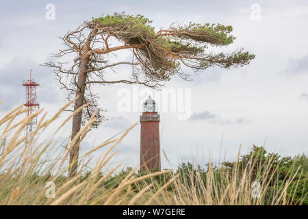 Phare allemand avec pin ardoise et de l'herbe sèche contre un ciel nuageux. Banque D'Images