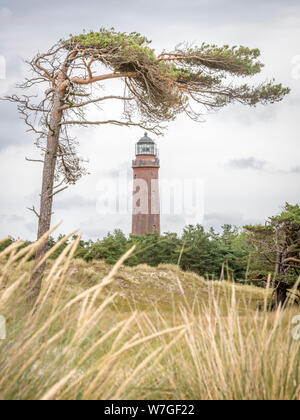 Phare allemand avec pin ardoise et de l'herbe sèche contre un ciel nuageux. Banque D'Images