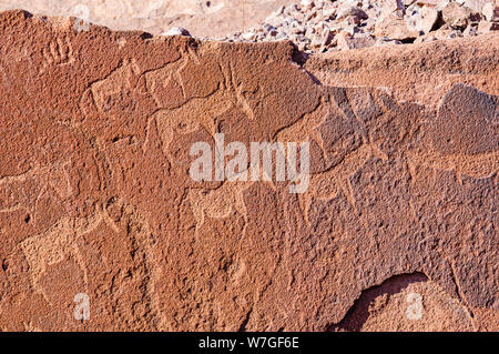 6000 ans de gravures rupestres d'animaux à Twyfelfontein, Namibie Banque D'Images