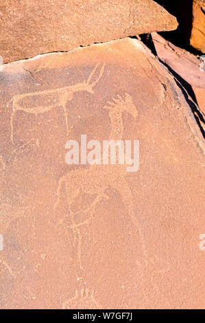 6000 ans de gravures rupestres d'animaux à Twyfelfontein, Namibie Banque D'Images