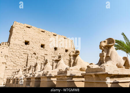 Statuts de la Ram à l'entrée du temple de Karnak, Louxor, Egypte Banque D'Images