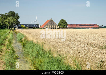 Franeker, Pays-Bas, le 27 juillet 2019 : paysage frison avec ferme traditionnelle et moderne des granges, une éolienne, un fossé et un champ de blé sur un s Banque D'Images