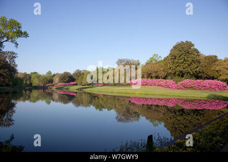 Bellingrath Gardens et l'accueil, la création de M. et Mme Walter Bellingrath à Theodore, Alabama Banque D'Images