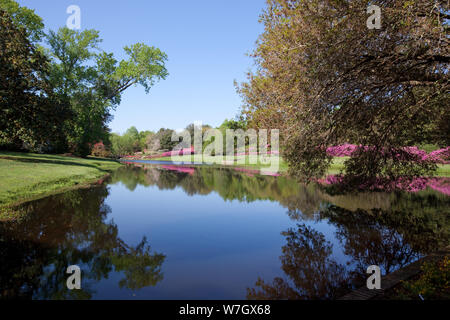 Bellingrath Gardens et l'accueil, la création de M. et Mme Walter Bellingrath à Theodore, Alabama Banque D'Images