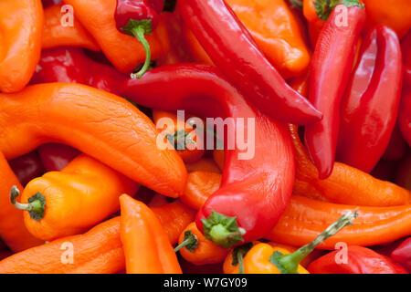 Des légumes pour la vente au marché agricole de Richmond en Colombie-Britannique Banque D'Images